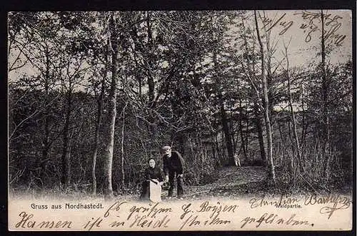 64880 AK Nordhastedt Waldpartie 1905 Bahnpost Neumünste