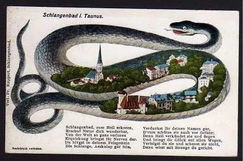50361 AK Schlangenbad im Taunus um 1915 Ortsbild in Schlange dargestellt