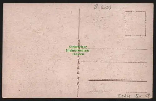 50361 AK Schlangenbad im Taunus um 1915 Ortsbild in Schlange dargestellt