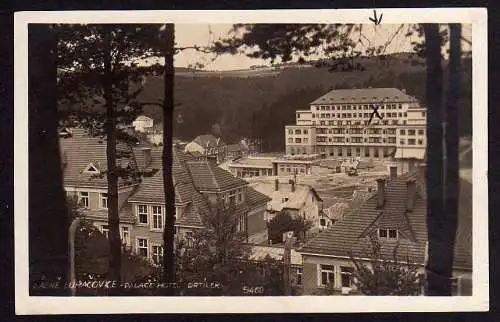 50324 AK Lazne Luhacovice Palace Hotel Drtilek um 1930