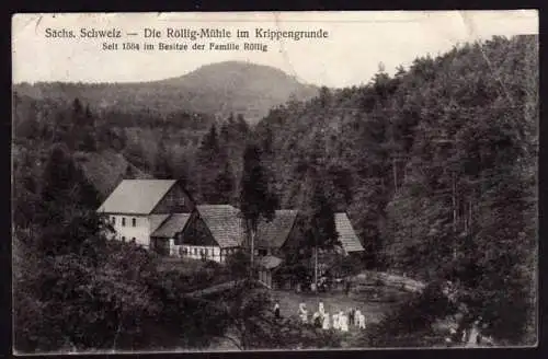 41917 AK Sächsische Schweiz 1930 Mühle Krippengrunde