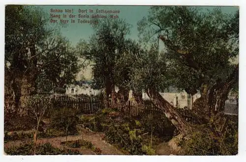 39852 AK Der Garten Gethsemane Berlin 1913