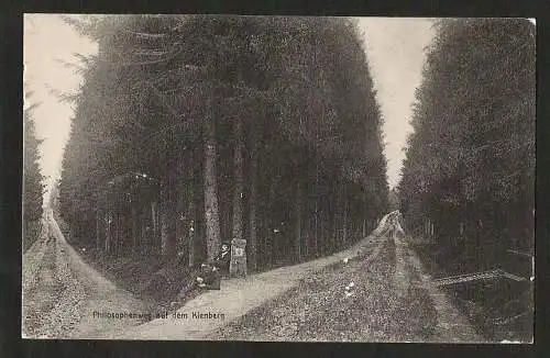 25726 AK Freudenstadt Philosophenweg auf dem Kienberg , gelaufen