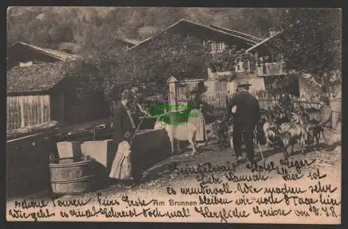 154384 AK Grindelwald CH Schweiz 1903 Landleben Am Brunnen