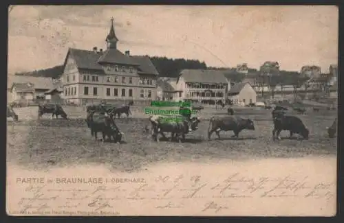 154237 AK Braunlage Oberharz 1906