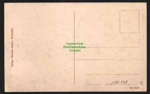 150248 AK Wunsiedel  i. Fichtelgebirge 1908 Totalansicht