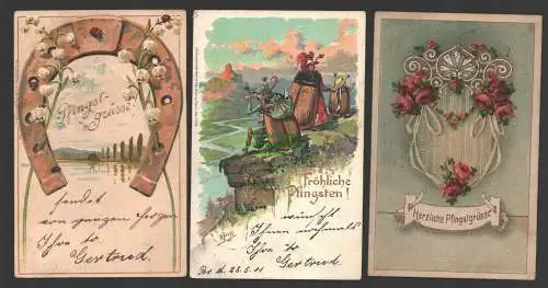 145490 3 AK Fröhliche Pfingsten 1901 Maikäfer Hufeisen Litho