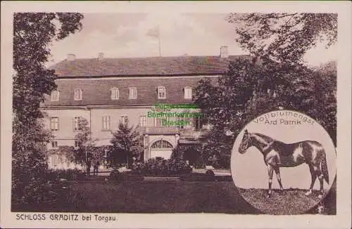 160883 AK SCHLOSS GRADITZ bei Torgau 1928 Vollbluthengst Ard Patrik