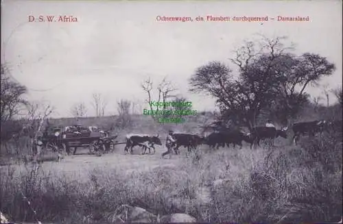 160854 AK D. S. W. Afrika Ochsenwagen, ein Flussbett durchquerend - Damaraland