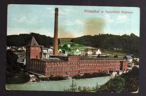 131859 AK Kriebethal mit Papierfabrik Kriebenau 1917