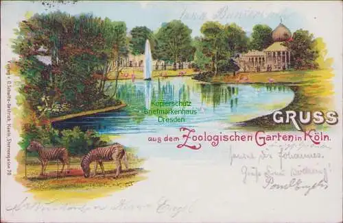 171968 AK GRUSS aus dem Zoologischen Garten in Köln 1899 Litho