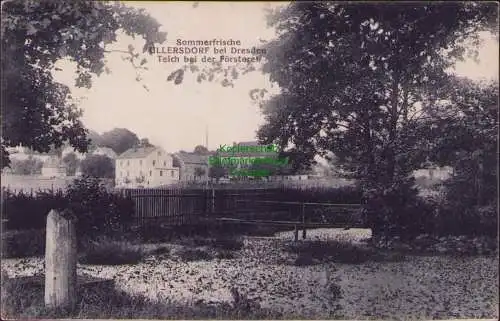 171650 AK Sommerfrische ULLERSDORF bei Dresden 1915 Teich bei der Försterei