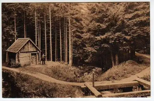 39456 AK Altenau i. Harz 1913 Dammgraben bei Silberbrunnen