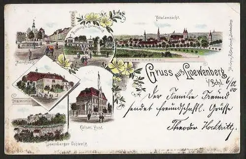 25089 AK Litho Loewenberg Schl. Kaiserl. Post Buchholz Markt Progymnasium 1900