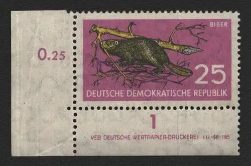 2511 DDR DV 691 Naturschutz postfrisch ** ungefalten Zähnungsvariante Wolf