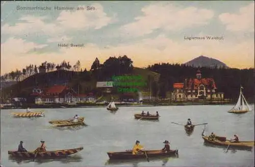 165209 AK Sommerfrische Hammer am See Hamr na Jezere um 1910 Hotel Seehof