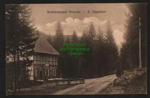 139706 AK Waldrestaurant Steinatal A. Dippmann 1929 Bad Sachsa