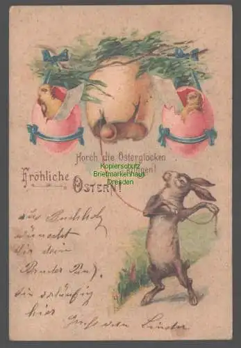 152209 AK Buchholz 1903 Fröhliche Ostern Osterhase Ostereier Kücken