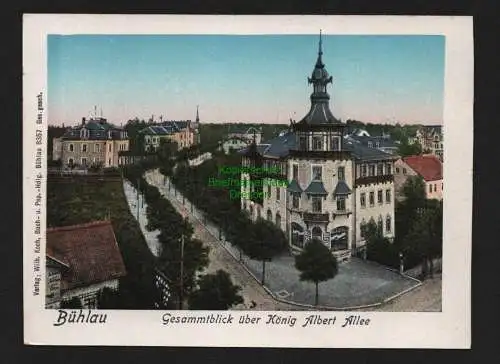 149901 AK Dresden Bühlau um 1910 König Albert Allee