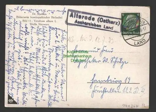 141367 AK Veratrum Album Werbung Dr. Madaus  Co. 1933 Weiße Nieswurz Alterode