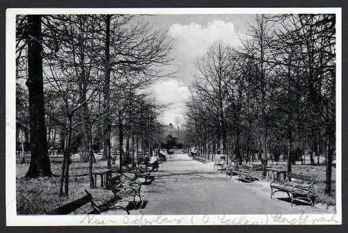 48171 AK Neu Oderberg O.-S. 1941 Stadtpark Novy Bohumin