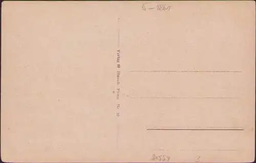 21554 AK Hohenaschau Verlag M Hauch Prien um 1925 ungelaufen