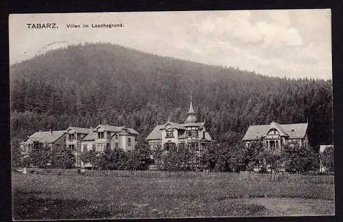 52624 AK Tabarz Villen im Lauchagrund 1916