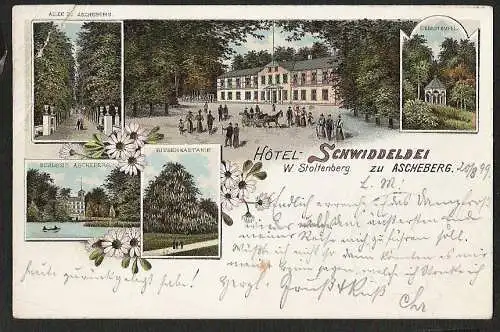 24443 AK Ascheberg Schwiddelei Hotel Litho Schloß 1899 Ascheberg Holstein