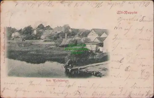 158352 AK Alt Ruppin 1904 Am Weinberge