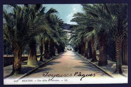 44165 AK Menton 1908 Alpes-Maritimes Un allee de Palmiers