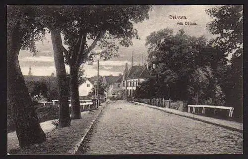 29170 AK Driesen N.M. Strasse Am Damm um 1910