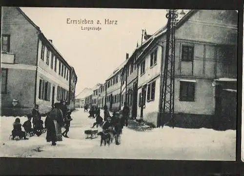 21900 AK Ermsleben am Harz Falkenstein/Harz Langestraße um 1915