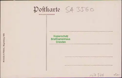 157976 AK Salzwedel 1905 Neuperver Strasse und Rathausturm