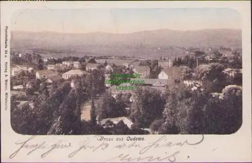 155928 AK Cudowa 1902 Panorama Kudowa-Zdroj