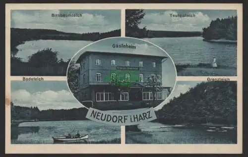 154086 AK Neudorf Harzgerode 1931 Birnbaumteich Teufelsteich Grenzteich Gästehei