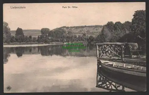 154101 Ansichtskarte Liebenstein Thür. Park Dr. Füller Seesteg Ruderboot um 1910