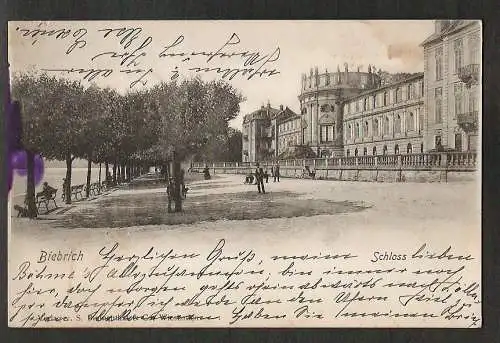 20446 Ansichtskarte Wiesbaden Biebrich Schloss 1900