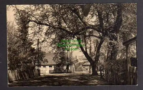 122649 Ansichtskarte Zechlinerhütte Rheinsberg Fotokarte Dorfstraße 1954