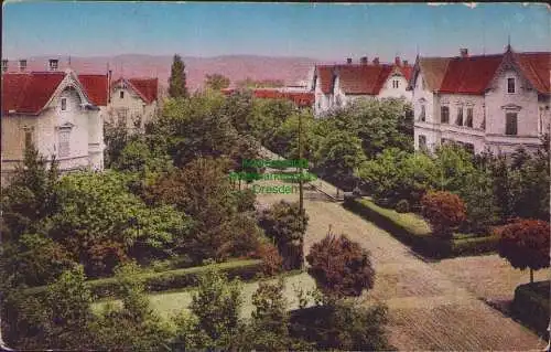 165440 AK Hermannstadt-Nagyszeben-Sibilu Hallerwiese um 1915