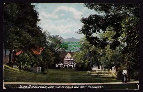 172196 AK Szczawno-Zdroj Bad Salzbrunn 1905 Das Wiesenhaus mit dem Hochwald