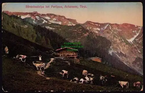 172149 AK Bärenbadalpe Bärenbadalm Pertisau Karwendel Achensee um 1920