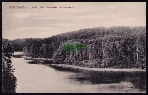 172148 AK Tiefensee in der Mark 1916 Der gamensee im Blumental