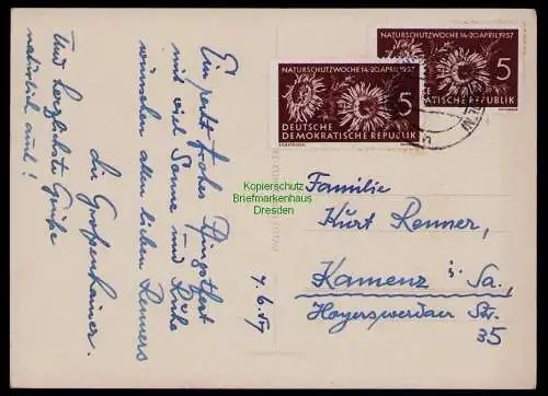 B17942 Postkarte DDR 2x 561 MeF auf Plischke Karte Zittau 1957