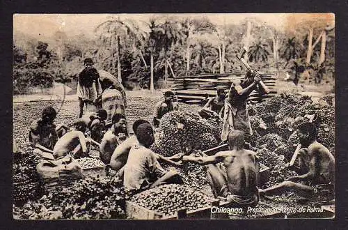 94756 AK Chiloango Preparando Azeite de Palma 1930 Vorbereitung Palm Öl Angola