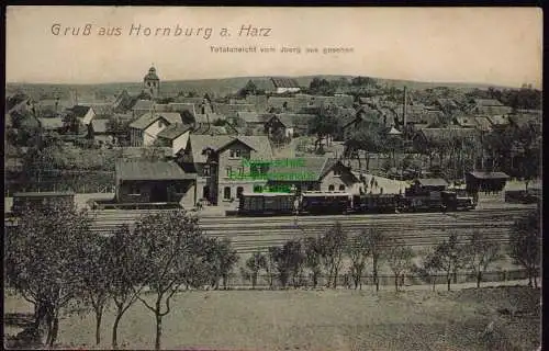 161774 AK Hornburg a. Harz Bahnhof Totalansicht vom  Iberg 1912