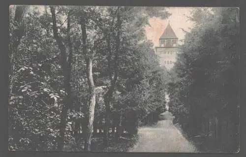 141809 AK Haynau i. Schlesien 1919 Partie auf dem Hopfenberg mit dem Wasserturm