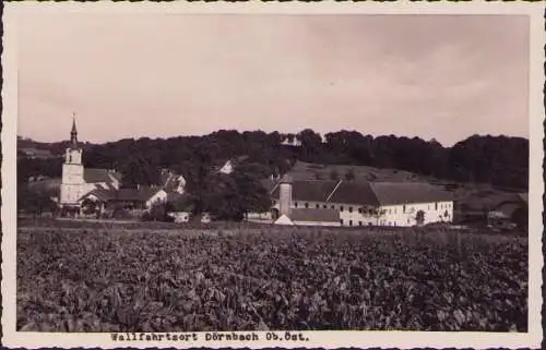 170884 AK Dörnbach Wilhering Oberösterreich Fotokarte um 1930