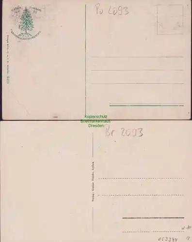 153344 2 AK Lychen Villen am Oberpfuhlsee Kienofen Promenade um 1920