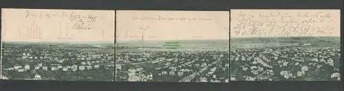 137238 3 AK Lössnitz Panorama 1899