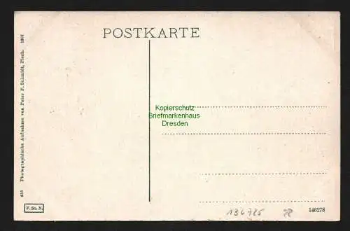 136725 AK Plech b. Neuhaus a. der Pegnitz Marktstrasse 1907